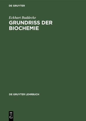 Buchcover ISBN 9783112319536