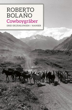 Buchcover ISBN 9783446267305