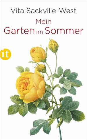 Buch Mein Garten im Sommer (978-3-458-36413-9)