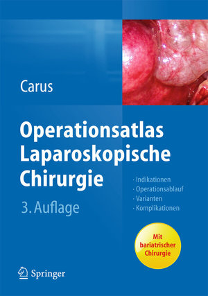 Buchcover ISBN 9783642312458