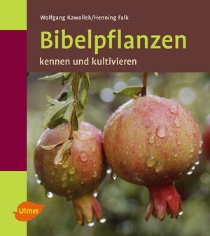 Buchcover ISBN 9783800146925