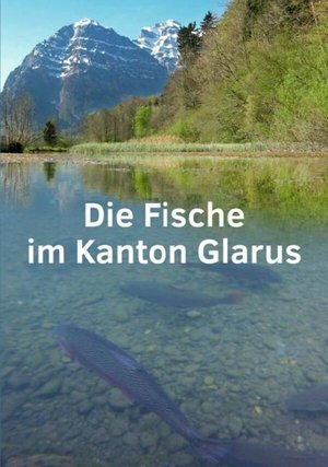 Buchcover ISBN 9783855462735