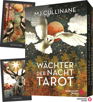 Buchcover ISBN 9783868265767