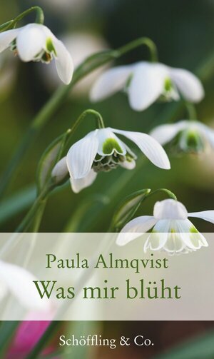 Buchcover ISBN 9783895615962