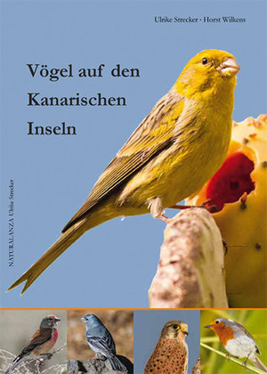 Buchcover ISBN 9783942999052