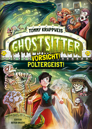Buch Ghostsitter (978-3-946425-78-6)